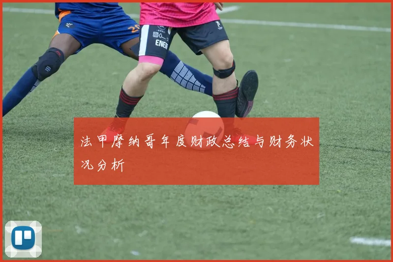 法甲摩纳哥年度财政总结与财务状况分析
