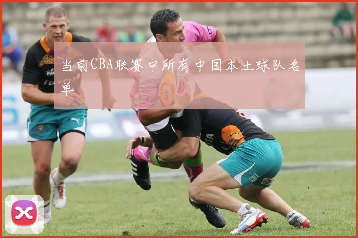 当前CBA联赛中所有中国本土球队名单