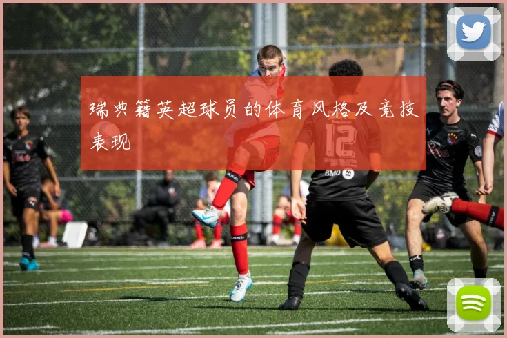 瑞典籍英超球员的体育风格及竞技表现